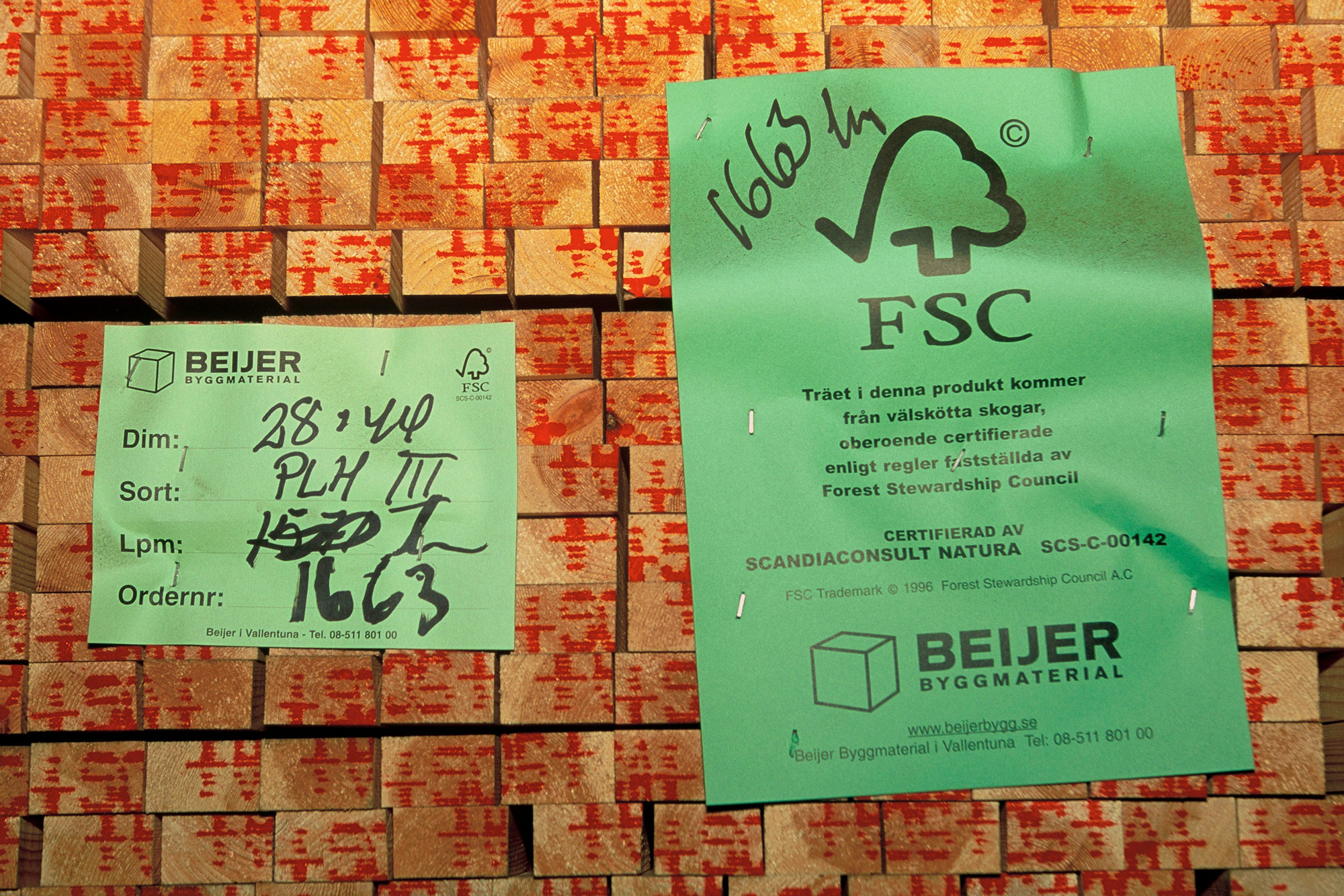 Stocks of FCS certified timber - © Edward Parker / WWF Stocks of FCS certified timber