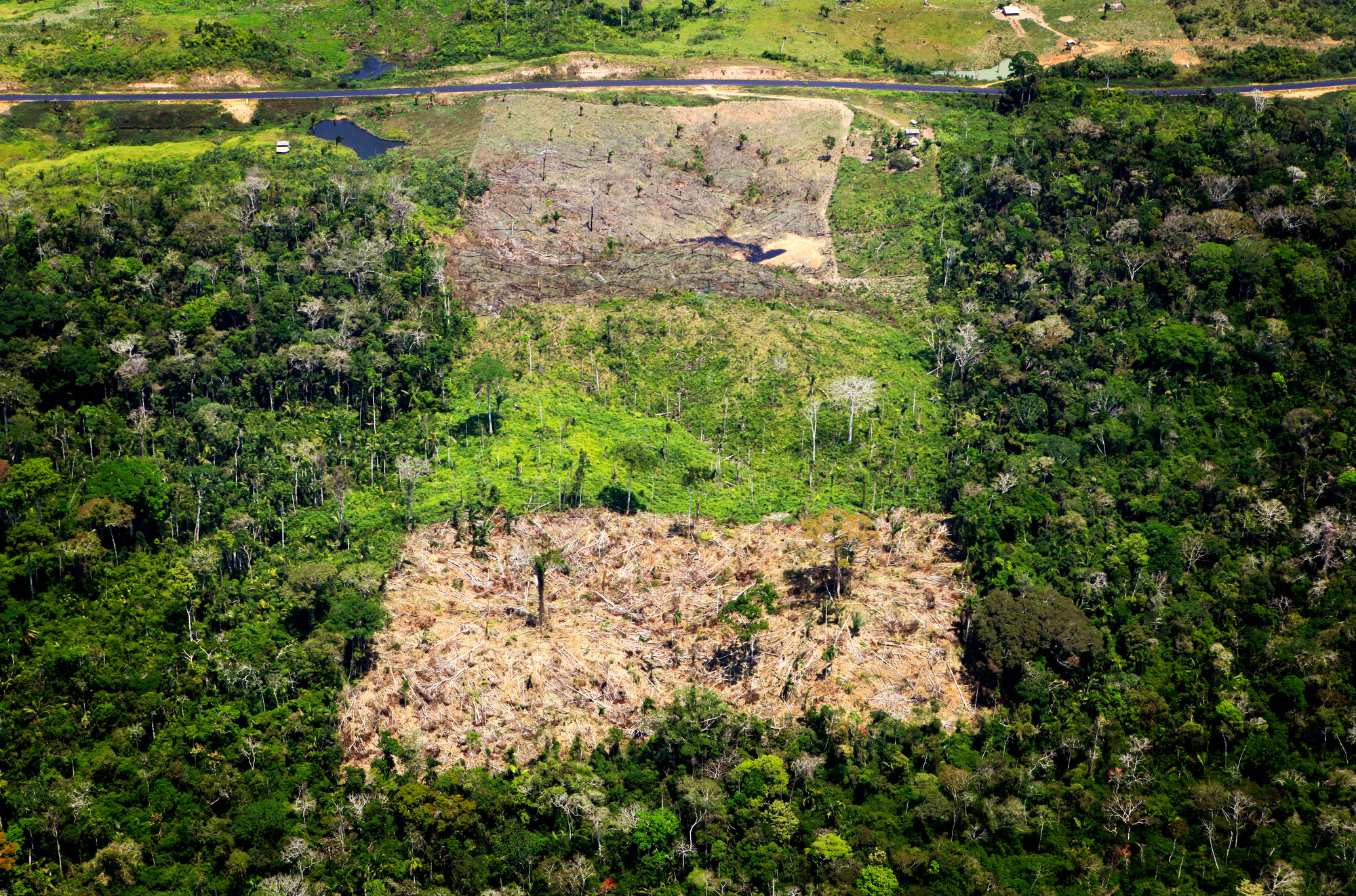 Aerial shot showing deforestation in Amazon rainforest - © Greg Armfield / WWF-UK Aerial shot showing deforestation in Amazon rainforest