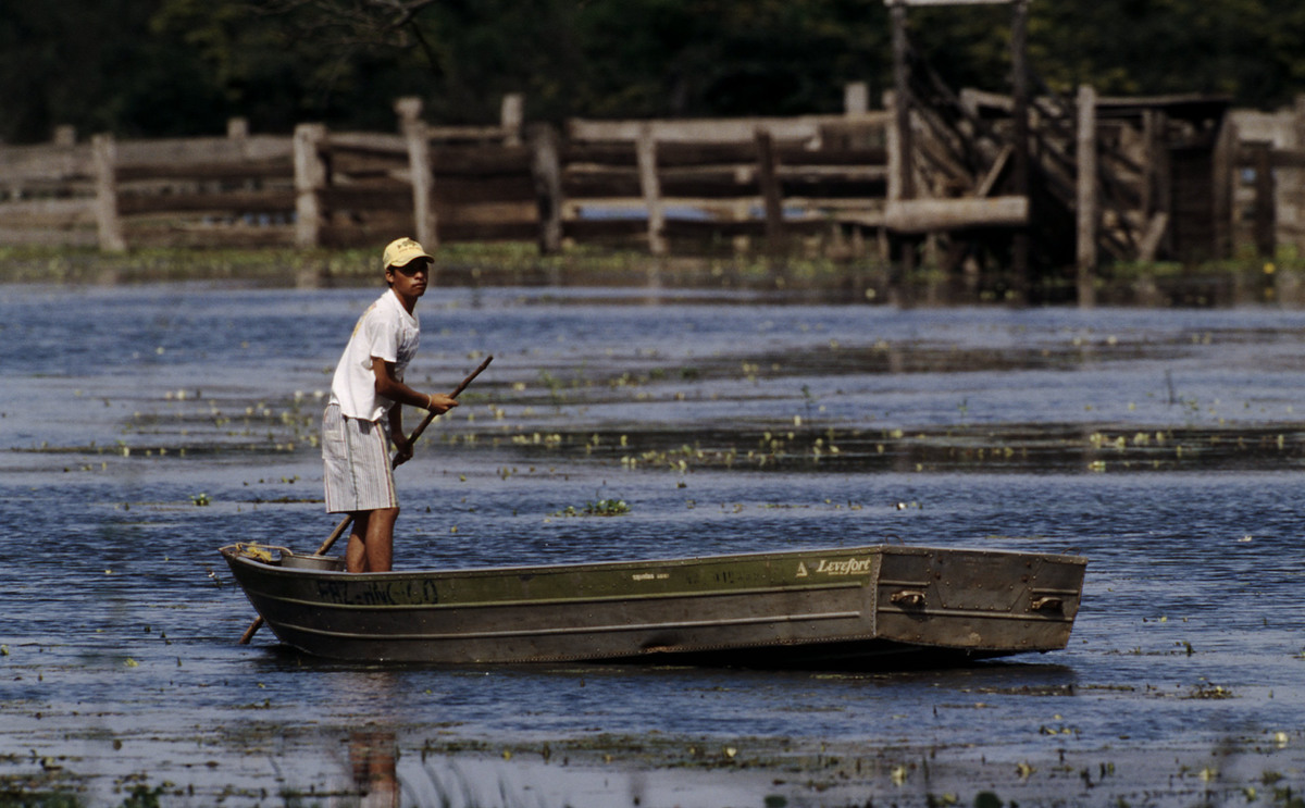 Boy in flat boat , People living in a wetland Mato Grosso , Pantanal, Brazil Boy in flat boat , People living in a wetland Mato Grosso , Pantanal, Brazil