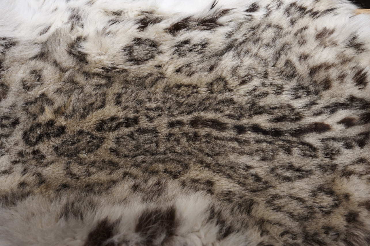 Snow leopard pelt A snow leopard pelt from a poached snow leopard