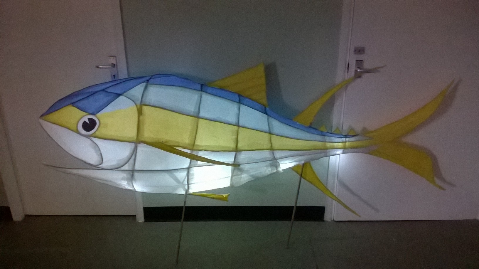 Fish lantern Fish lantern