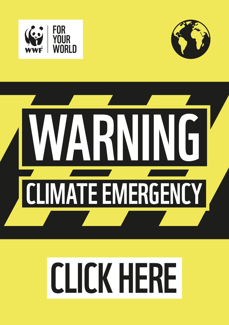 Climate emergency Climate emergency