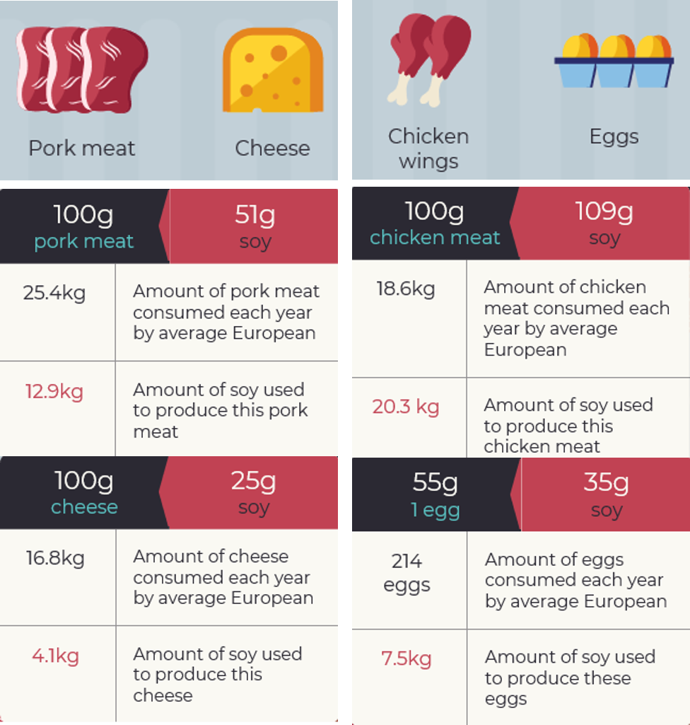 An infographic illustrating hidden soy in our diets