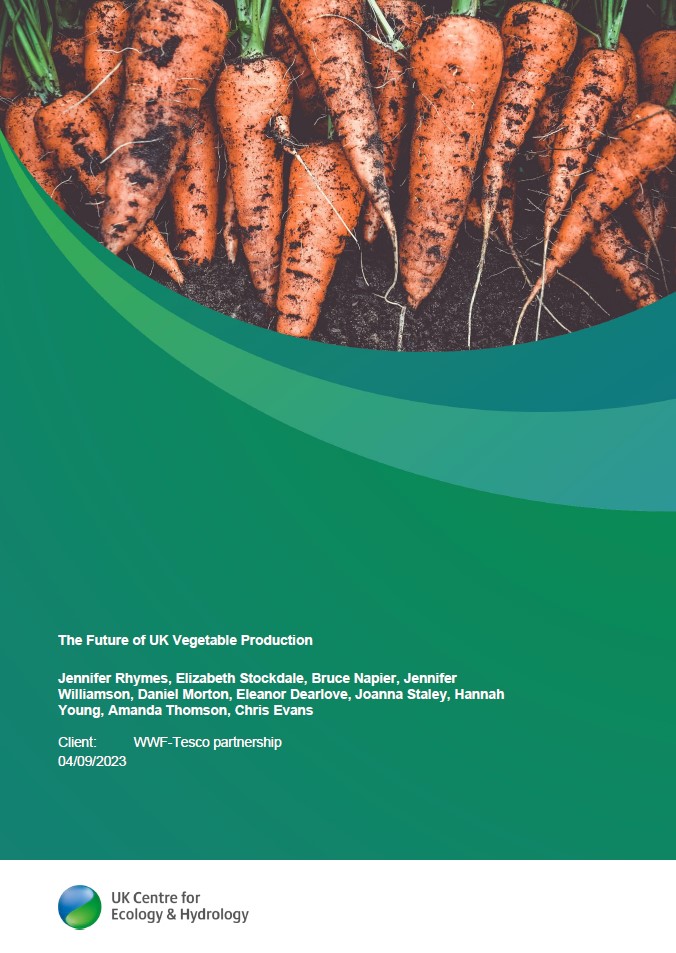 The cover image of The Future of UK Vegetable Production report which pictures a bunch of fresh carrots on a green background.