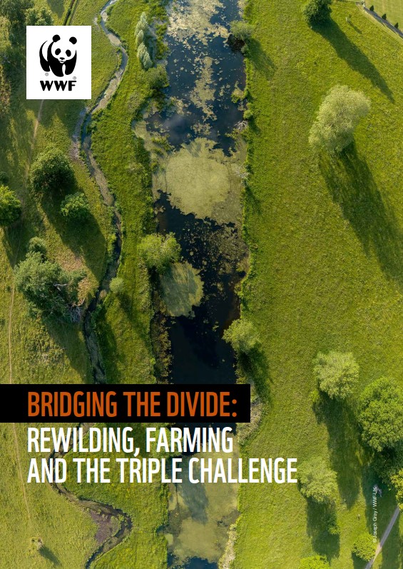 Cover for the report Bridging the Divide: Rewilding, Farming and the Triple Challenge