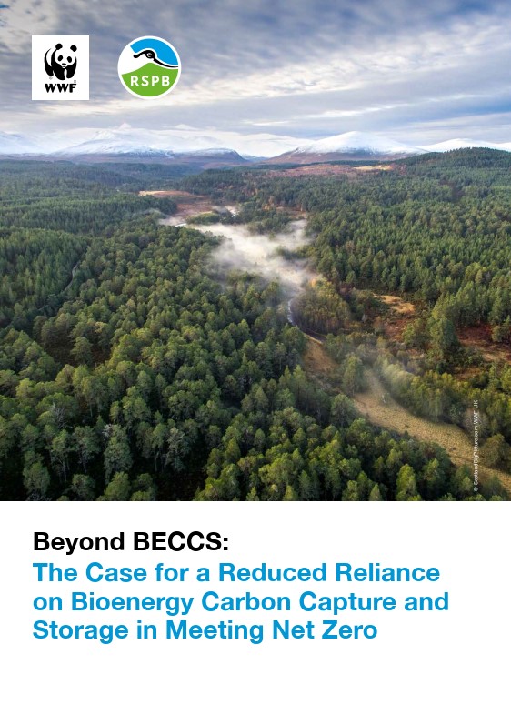 Beyond BECCS cover showing picture of a river winding through a rainforest