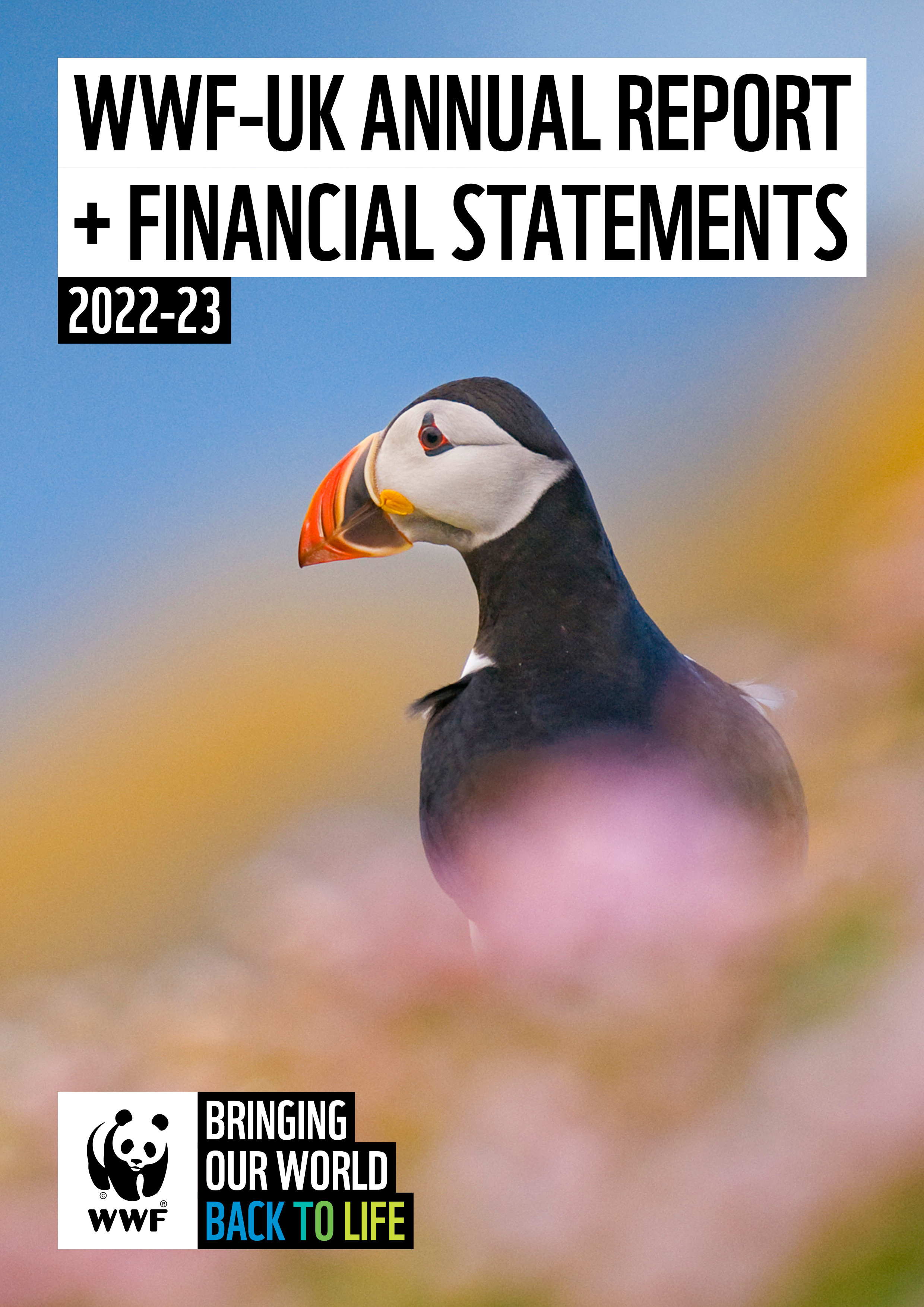 An Atlantic puffin among purple thrift and yellow lichens, Shetland, Scotland. With the text 'WWF-UK Annual Report and Financial Statements 2022-23' and WWF logo