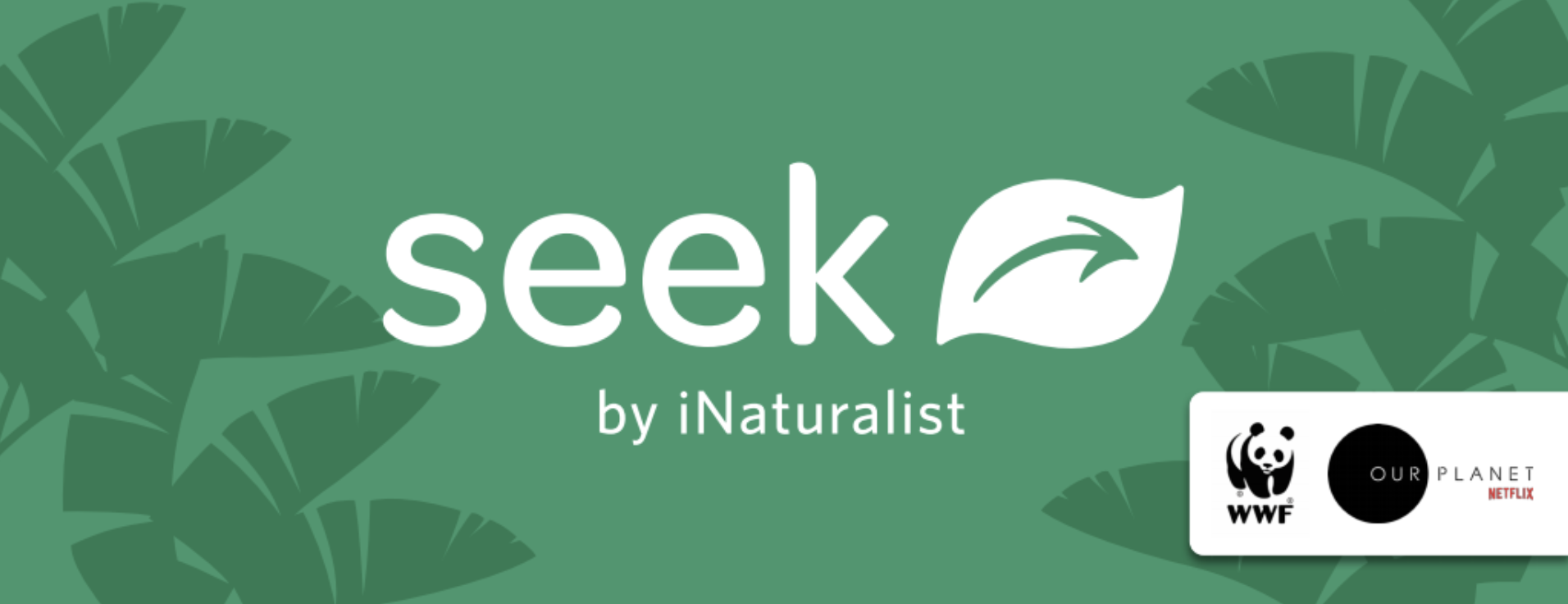 Seek App