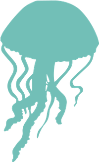 Lion’s Mane Jellyfish image