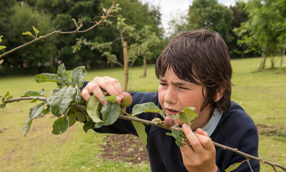 The Green Ambassador school award winner 2016 Thumbnail