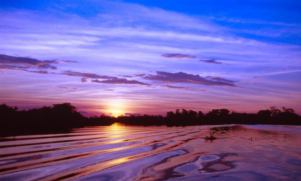 Sunset in the Pantanal Pantanal, Brazil Thumbnail