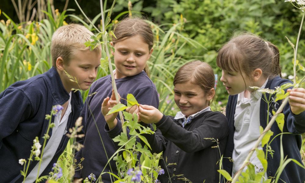 Green Ambassador winning school of the year Middleton-on-the-Wold Primary School © Richard Stonehouse / WWF-UK