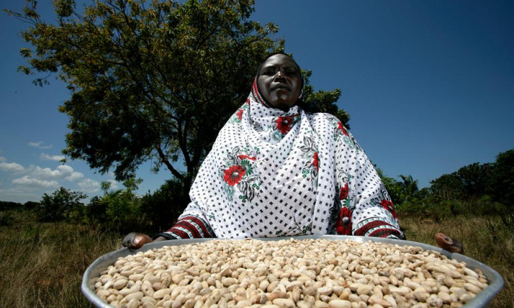 Member of the Coast Farm Forestry Association displays some of her neem seeds - © Brent Stirton / Getty Images
