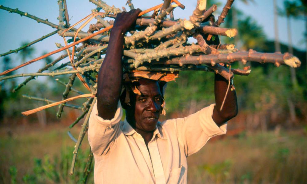 Villager carrying firewood - © Sandra Mbanefo Obiago / WWF
