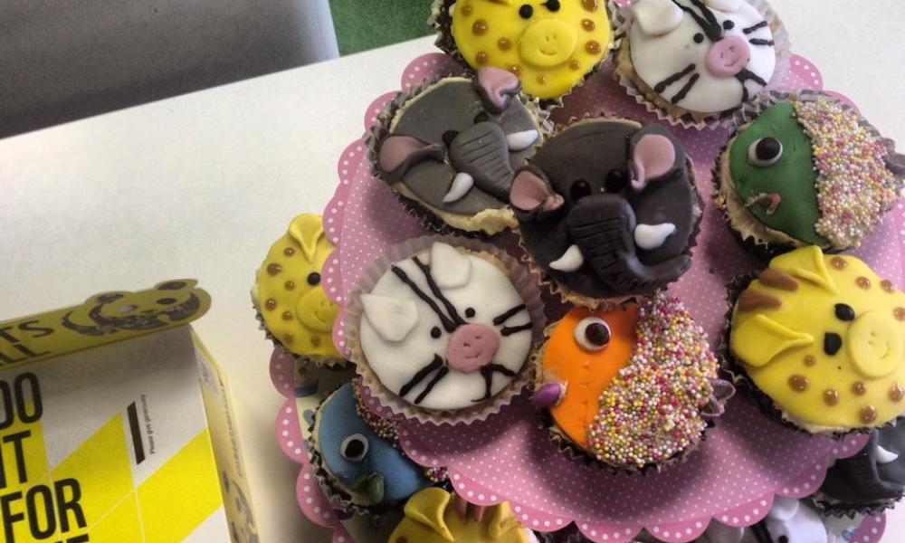 Cake sale Thumbnail