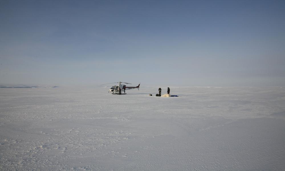 Scientists with a polar bear by a helicopter Thumbnail