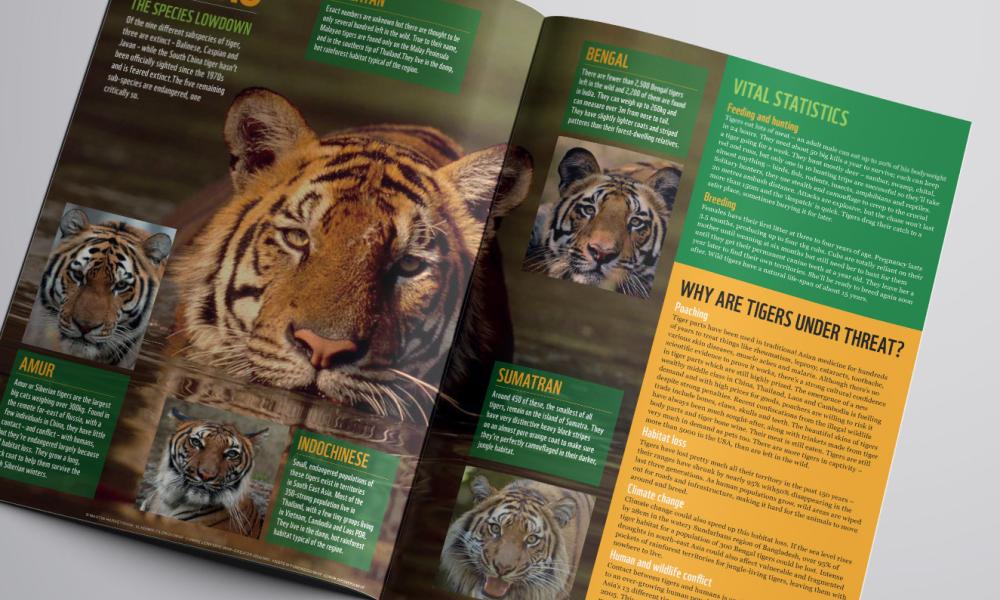 Explore species poster resource for youth groups Thumbnail