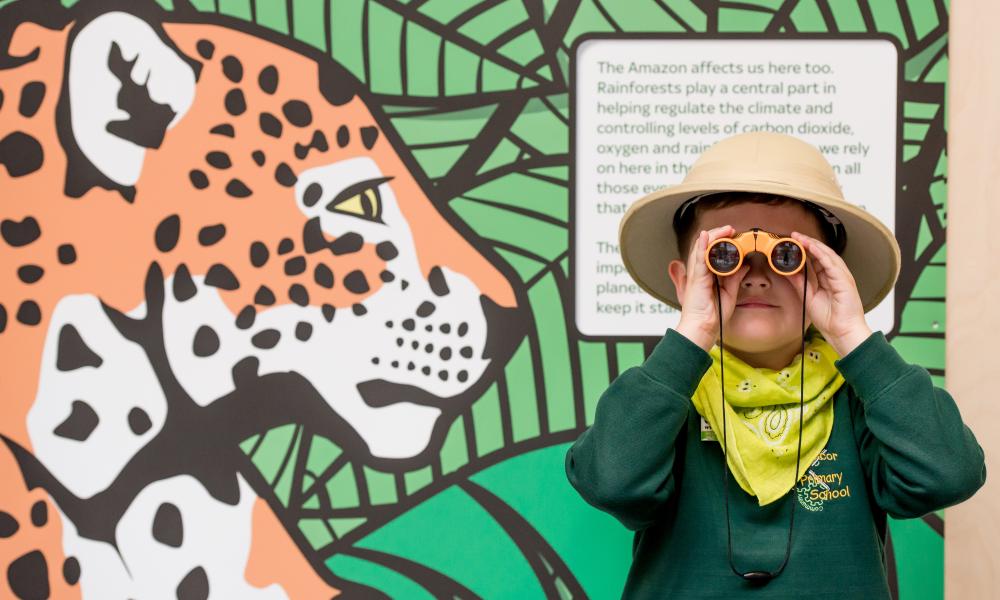 Pupil taking part in the Amazing Amazon workshop at the Living Planet Centre © Richard Stonehouse / WWF-UK Thumbnail