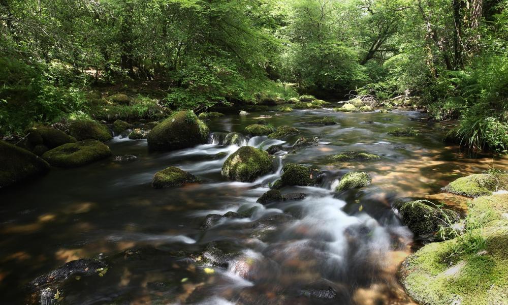 UK rivers and chalk streams WWF