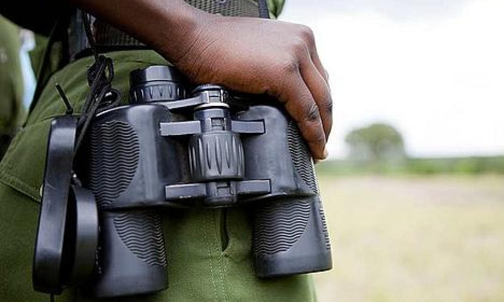 Mara ranger with binoculars Thumbnail