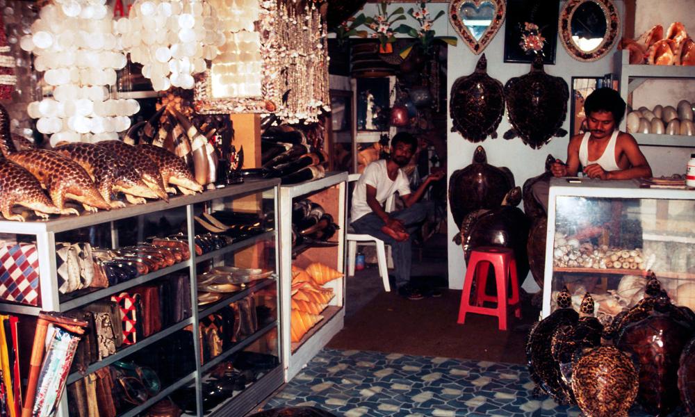 A souvenir shop selling pangolins, Jakarta, Indonesia Thumbnail