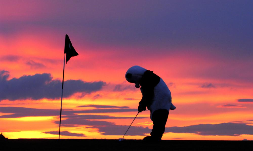 Panda playing golf in the dark