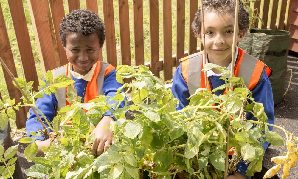 WWF Green Ambassadors at Heald Place Primary School Thumbnail
