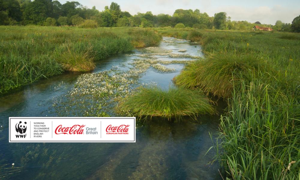 The River Itchen, Hampshire, UK