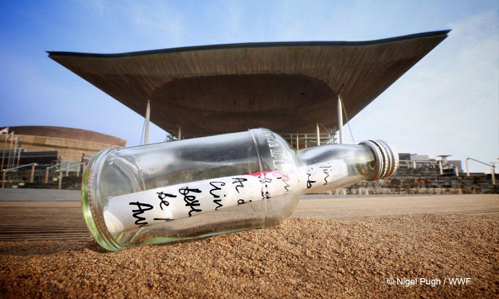 Message in a Bottle Thumbnail