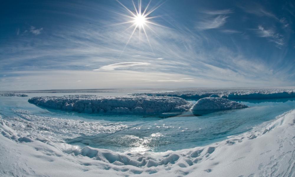 Arctic Thumbnail