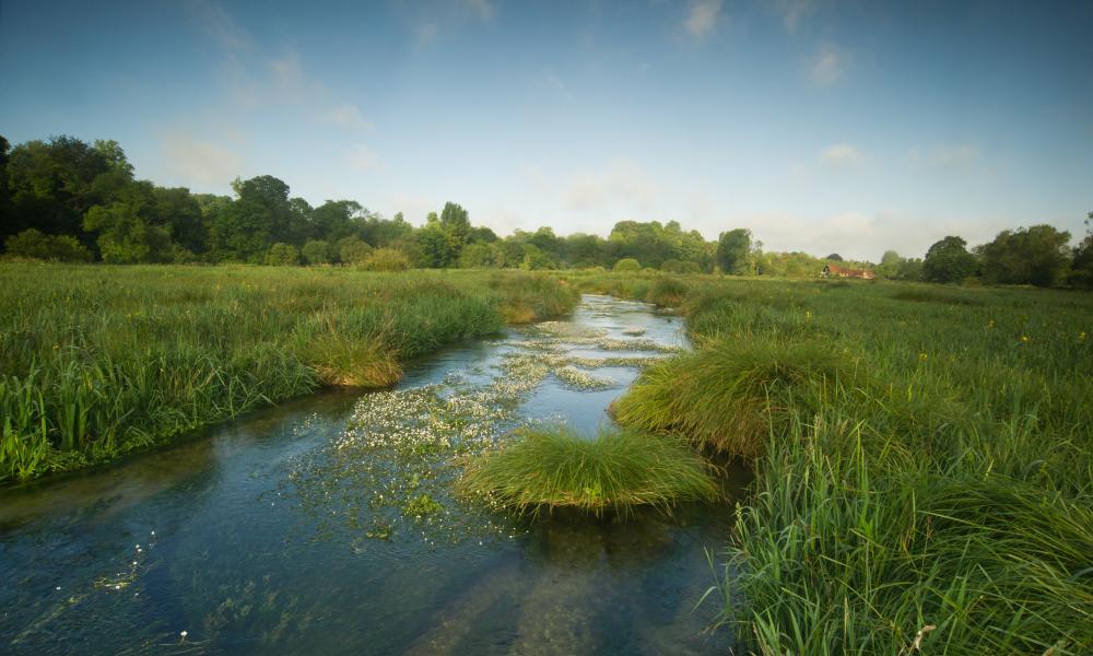 The River Itchen, Hampshire, UK