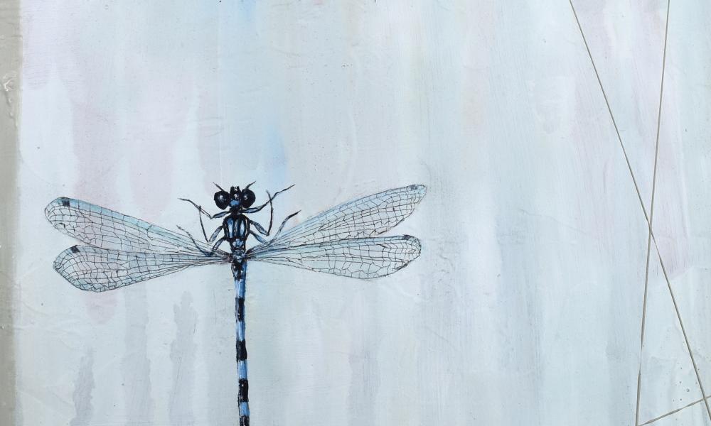 River Itchen damselfly painting