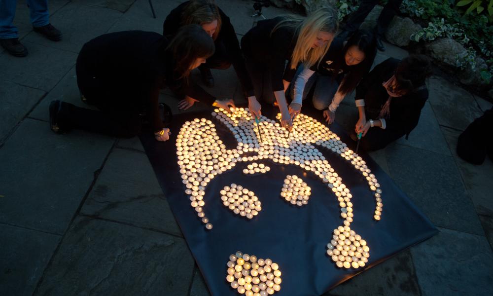 WWF logo candles Thumbnail