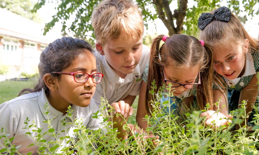 Warren Road Primary Green Ambassadors © Richard Stonehouse / WWF-UK Thumbnail