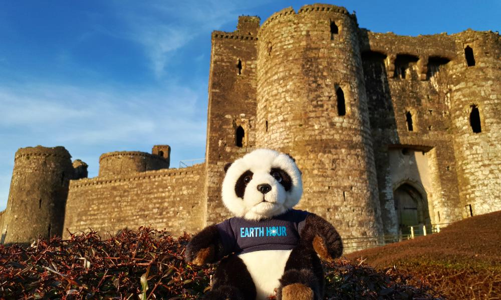 Panda at Kidwelly Castle, Wales