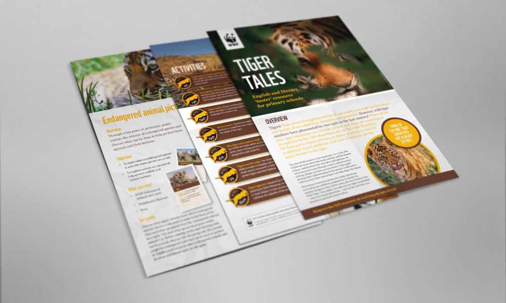 Tiger Tales Schools Resource Thumbnail