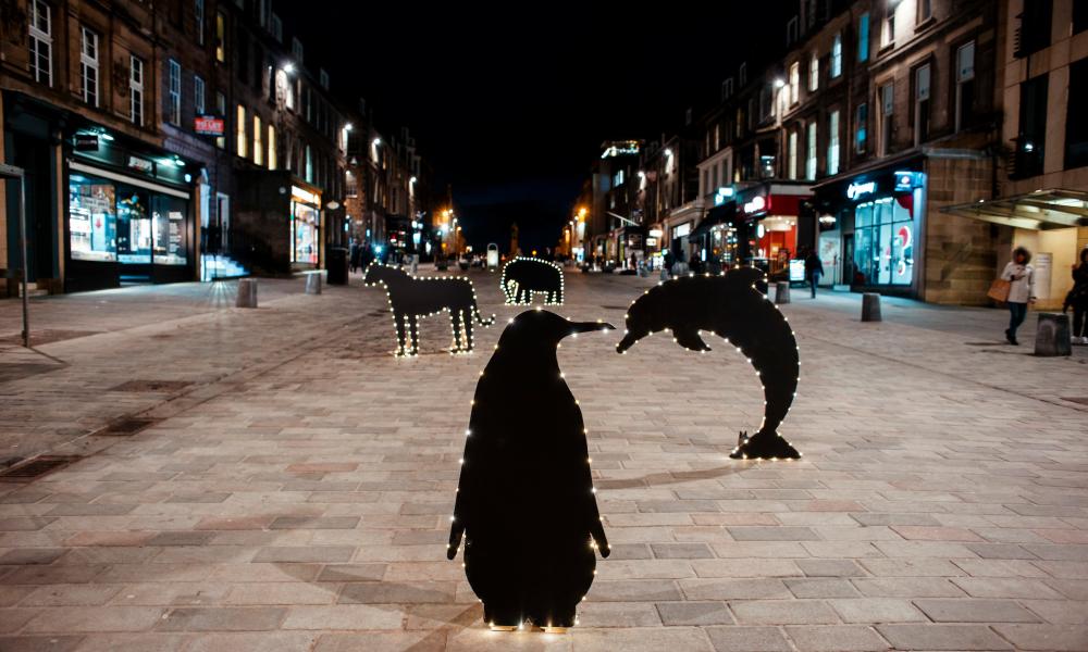 Earth Hour on Princess Street- Penguin and Dolphin Thumbnail