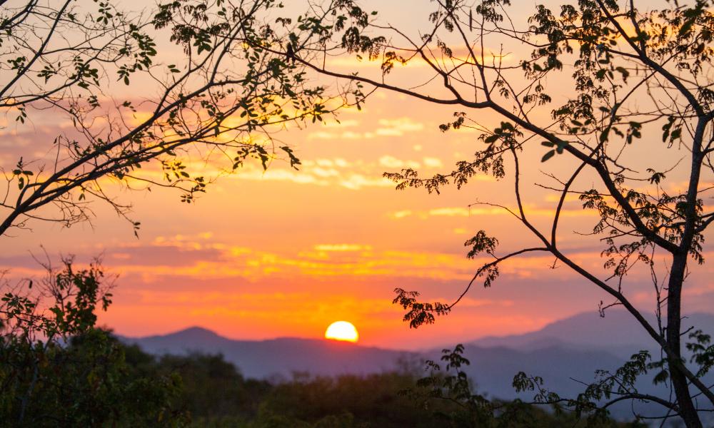 Selous World Heritage site - © Greg Armfield / WWF