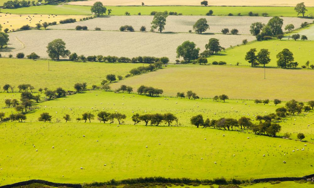 Fields below Pendle Hill in the Ribble Valley near Clitheroe, Lancashire, UK. Thumbnail