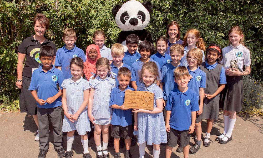 Green Ambassador Awards Green Team winners, Dundonald Primary School © Richard Stonehouse / WWF-UK