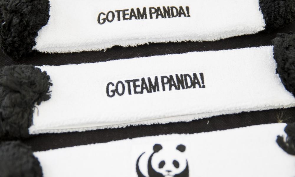 Team Panda headband Thumbnail