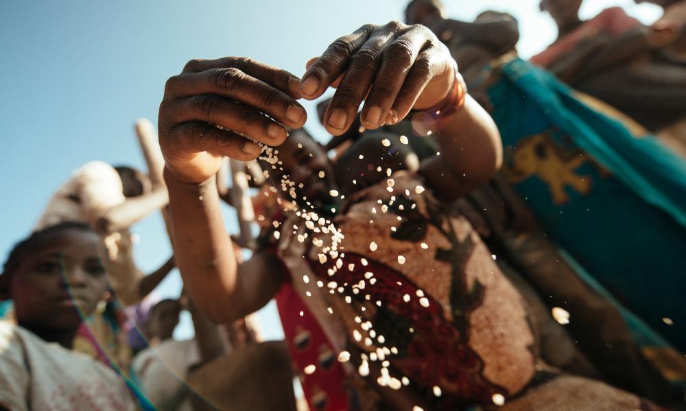 Woman dehusking and seperating various grains such as millet, maize and sorghum along the road to Niassa Game Reserve from Marrupa, Mozambique, Africa.