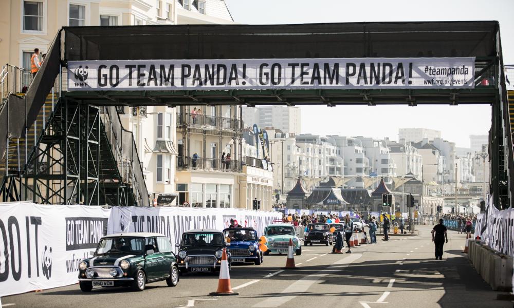 Panda bridge