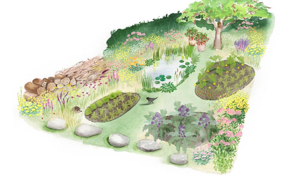 Garden with variety of habitats