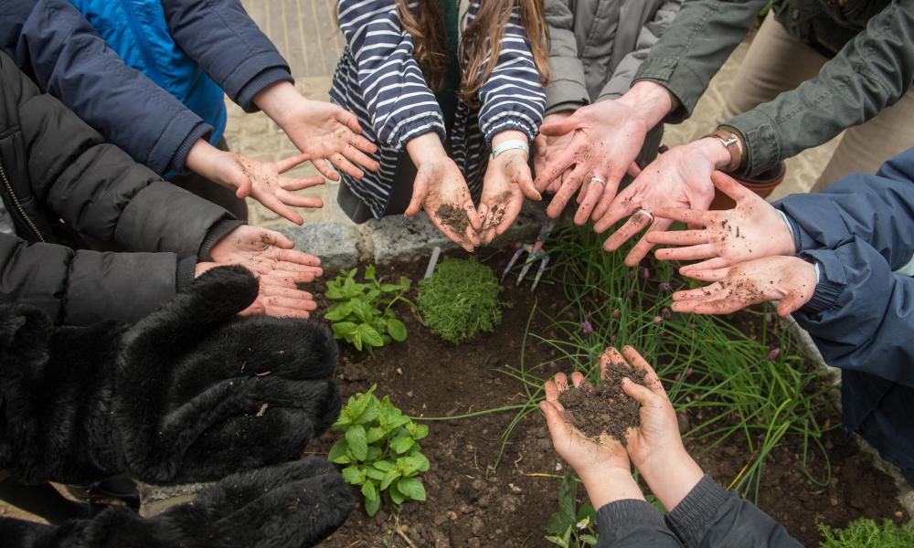 Muddy hands Thumbnail