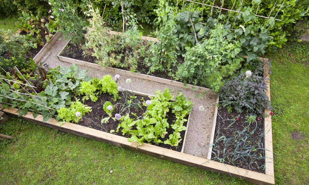 British Garden - Veg patch
