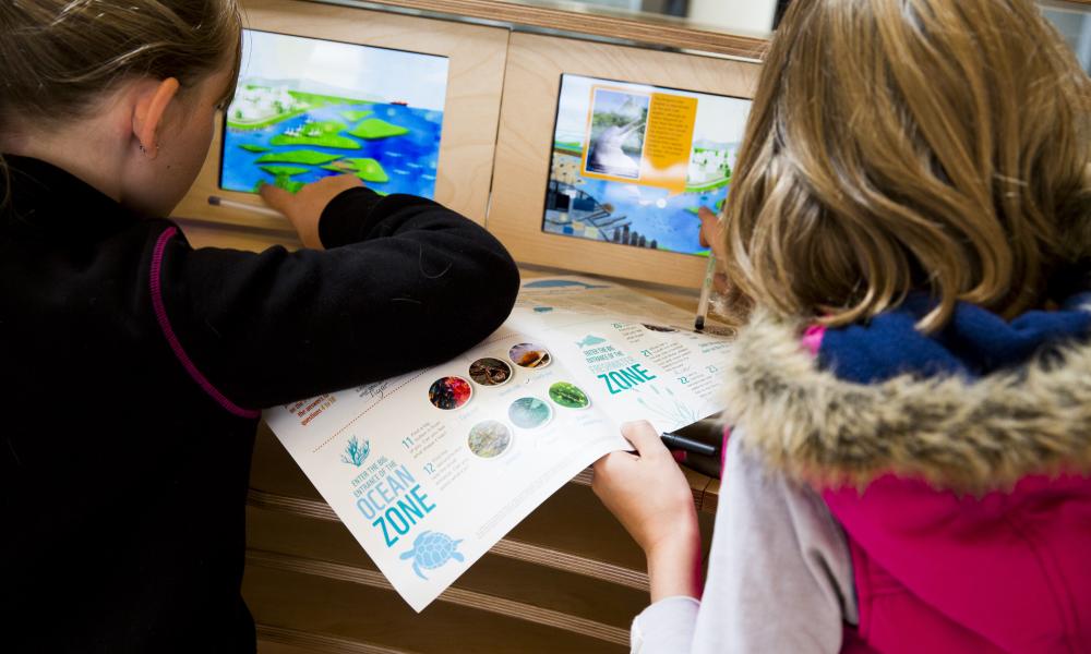 Children in the WWF experience