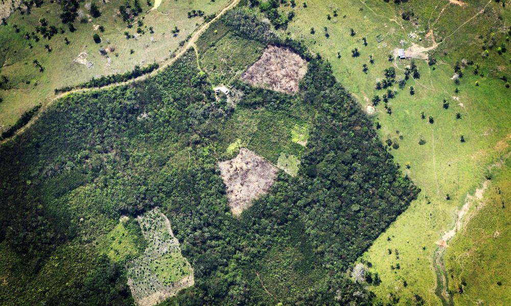Deforestation of Amazon rainforest in Acre, Brazil © Greg Armfield WWF-UK Thumbnail