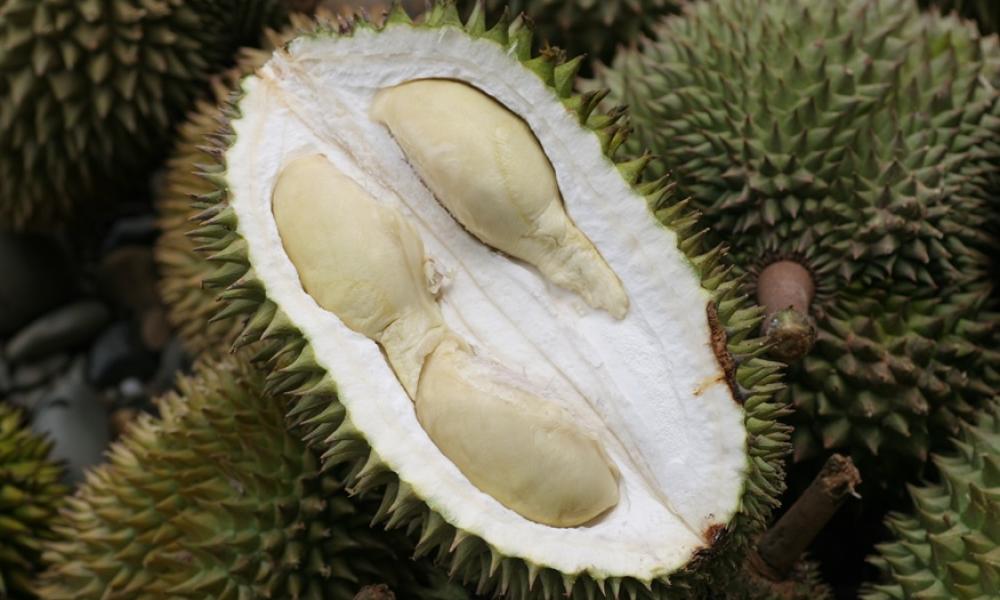 Durian fruit © WWF-Indonesia / Jimmy Syahirsyah Thumbnail