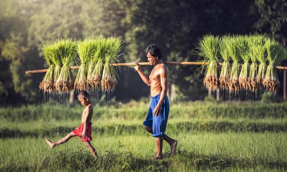 Putting Nature First
